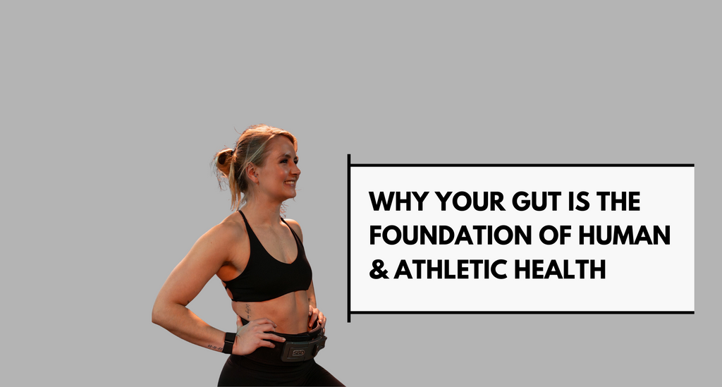 The Gut Microbiome: Why Your Gut Is the Foundation of Human & Athletic Health